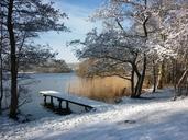 winter-landscape-snow-reed-499515.jpg