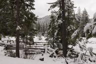 A living sno-globe scene and winter wonderland, created by a sudden mountain blizzard along California Highway 36, south of Lassen Volcanic National Park LCCN2013630923.tif.tiff