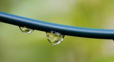 water-drop-rain-bubble-nature-836686.jpg