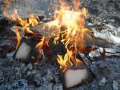 campfire-wood-fire-fire-wood-802777.jpg