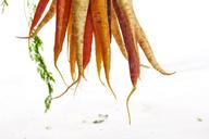 carrots-hanging-vegetable-food-1149173.jpg