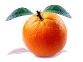 orange-citrus-fruit-fruit-vitamins-72321.jpg