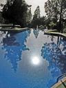 pool-water-mirroring-199148.jpg