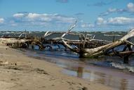 latvia-cape-kolka-driftwood-sea-909337.jpg