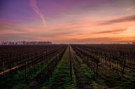 farmland-sunset-field-landscape-1149422.jpg