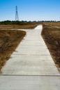 Trail in wild with gras on both sides.jpg