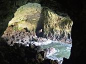 sea-lion-cave-rocks-pacific-cave-51686.jpg