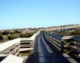 boardwalk-sand-dune-rails-wooden-552013.jpg