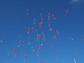 balloons-fly-wedding-693784.jpg