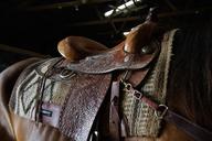 western-saddle-ride-stall-horse-1537605.jpg