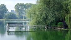 boardwalk-web-pier-water-lake-1641617.jpg