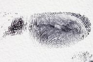 fingerprint-daktylogramm-papillary-255897.jpg