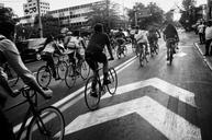 bicycle-black-and-white-rides-850073.jpg