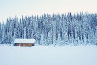 cabin-isolated-cold-snow-abandoned-1209724.jpg