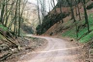 farm-track-rural-road-field-path-351475.jpg