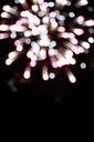 fireworks-the-dark-night-shiny-394545.jpg