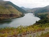 river-douro-douro-vineyards-838765.jpg