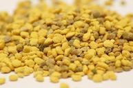 bee-pollen-nectar-yellow-356483.jpg