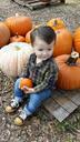 pumpkin-fall-boy-519404.jpg