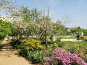 Springtime in Bartholdi Park - Washington, DC - DSC09439.JPG