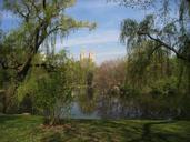 central-park-new-york-nyc-pond-69129.jpg