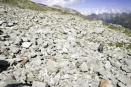 Rocks on ground pattern.jpg