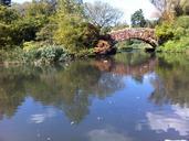 central-park-new-york-bridge-water-957612.jpg