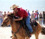 cowboy-horse-beach-western-riding-173389.jpg