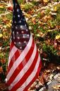 flag-fall-memorial-day-cemetery-1039500.jpg