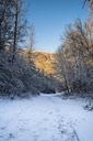 winter-landscape-winter-world-1152256.jpg