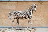 heather-jansch-driftwood-sculpture-1605365.jpg