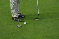 golf-eingelocht-green-final-962859.jpg