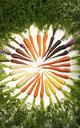 carrots-variety-vegetables-76653.jpg