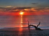 sunrise-sea-nature-642458.jpg