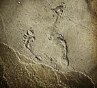 sand-beach-footprints-sea-water-715906.jpg