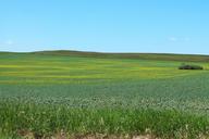 landscape-field-rural-farmland-1052514.jpg