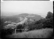 Landscape_in_Titirangi,_with_native_bush.jpg