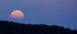 full-moon-super-moon-moonrise-moon-914410.jpg