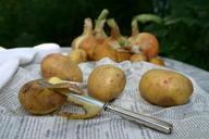 potato-cook-eat-food-tasty-954019.jpg