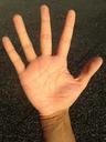 palm-hand-finger-bleaching-1598188.jpg