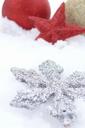 christmas-decoration-reindeer-snow-15830.jpg