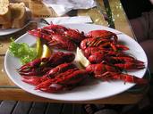 boiled-crayfish-crawfish-food-749555.jpg