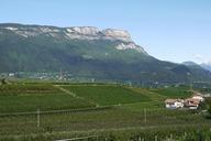 south-tyrol-vineyards-mountains-1402453.jpg