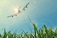 aircraft-flight-sky-grassland-465723.jpg