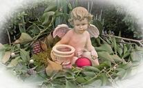 angel-angel-figure-fig-plant-283207.jpg