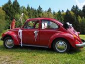 vw-beetle-bridal-car-auto-oldtimer-693637.jpg