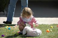 easter-eggs-search-child-girl-find-388363.jpg