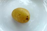 potato-cooked-525891.jpg