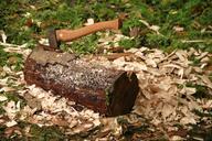 axe-log-chips-wood-chop-ax-1555297.jpg