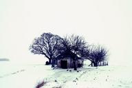 winter-landscape-snow-tree-home-629900.jpg